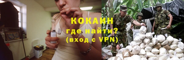 трава Ахтубинск