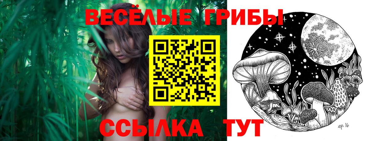 Псилоцибиновые грибы мухоморы  Псилоцибиновые грибы Magic Shrooms  Слободской  Вход с VPN 