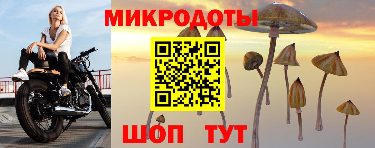 Псилоцибиновые грибы мицелий Слободской